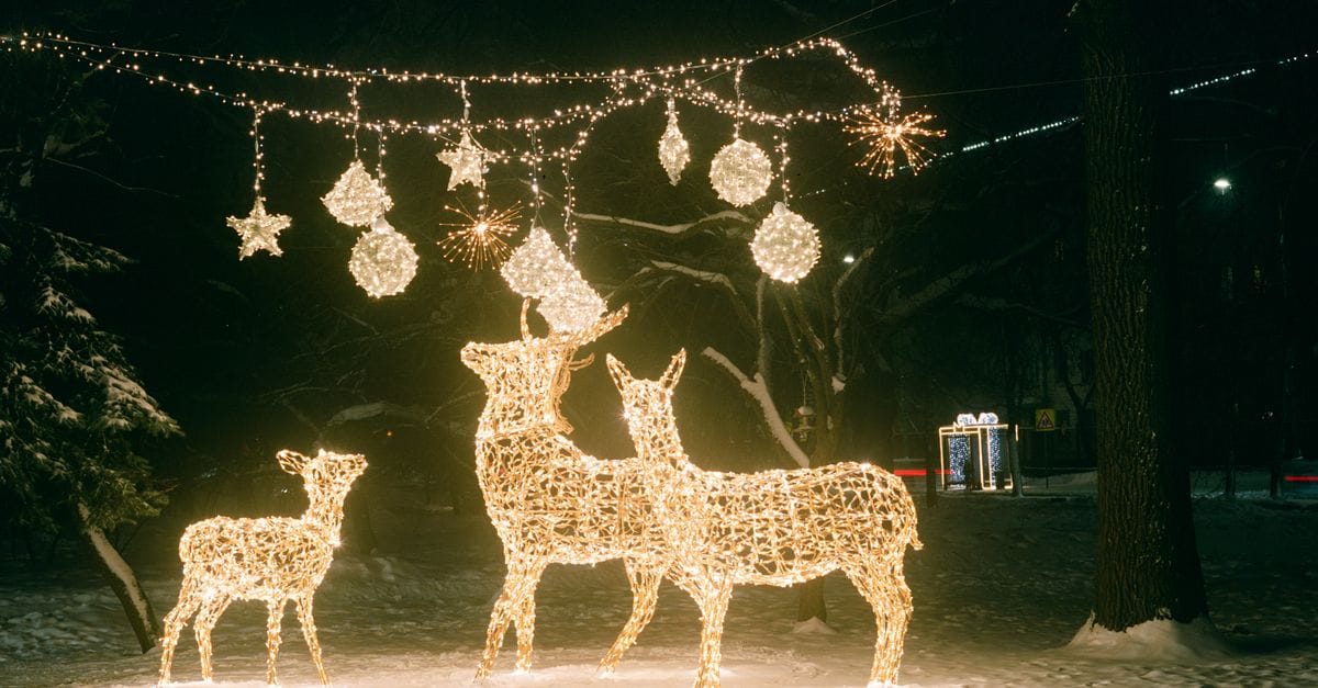 Bringing Holiday Magic to Life Since Day One